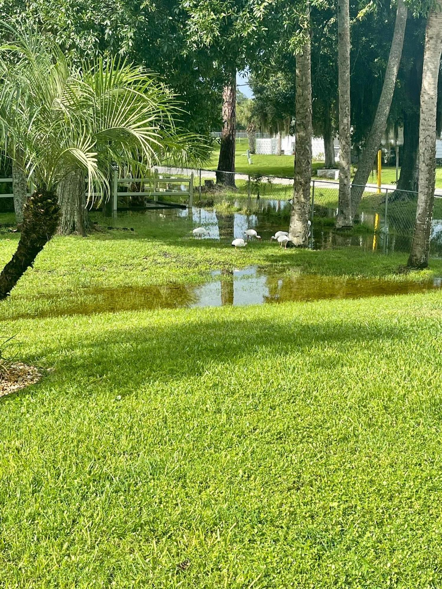 Sunny Oasis Getaway -Heated Pool-Mini Golf-Near Beach Нокомис Екстериор снимка